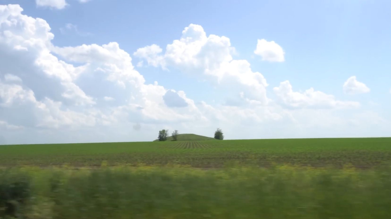 Spotted By Drone