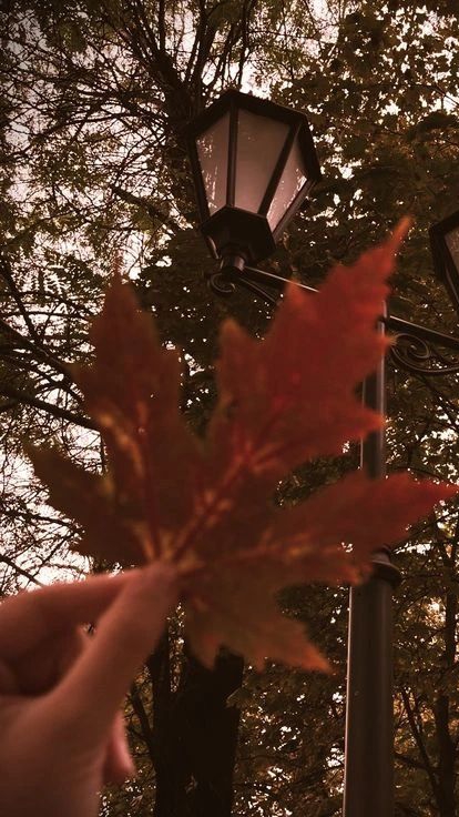 My Girl 🫶🏽🍂🍁!