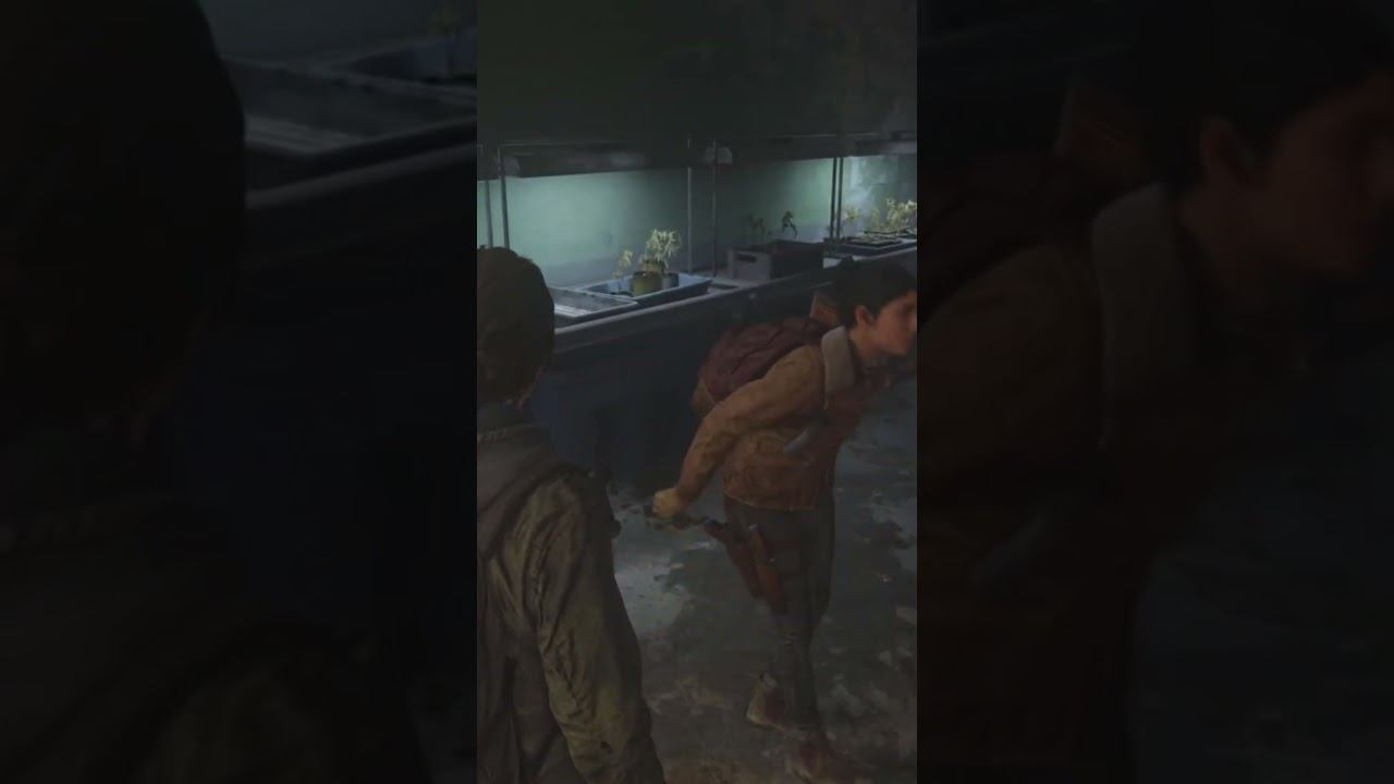 Weed In Last Of Us 2