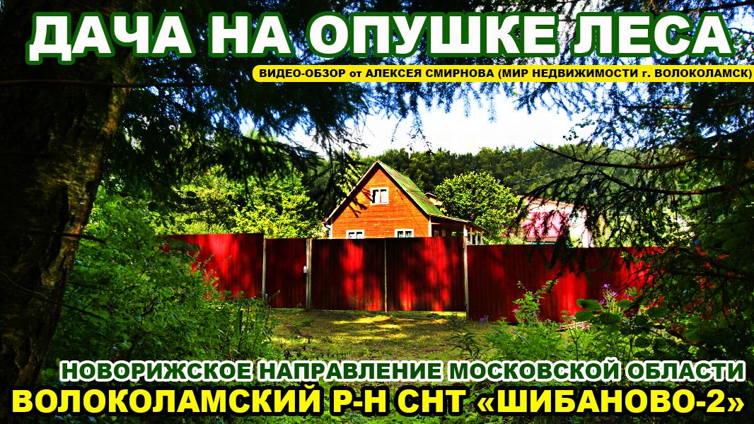 Дача в СНТ Щибаново Волоколамского района МО