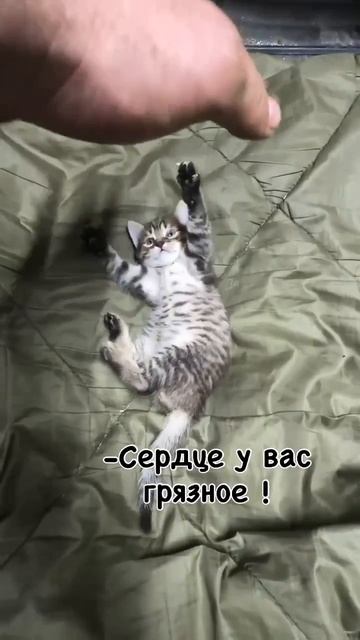 ДОБРОЕ СЕРДЦЕ