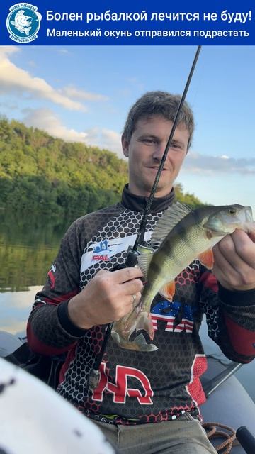 Окушек на рыбалке.  #fishing #рыбалка