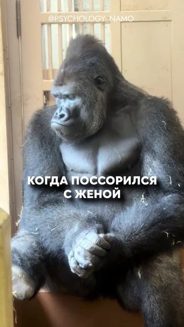 Девочки чей? 