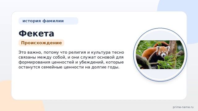 Фамилия Фекета: происхождение, значение и склонение