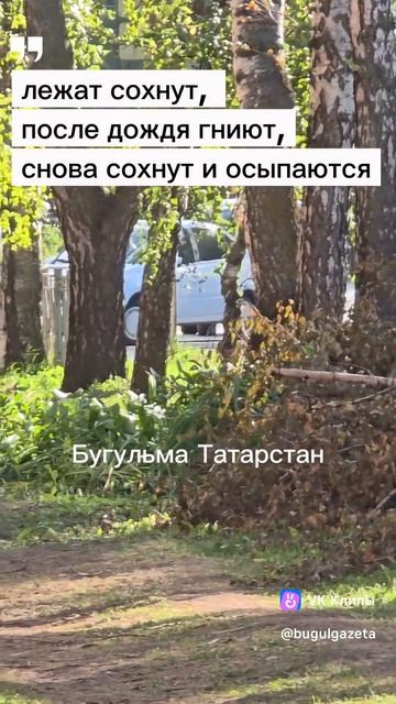 На ул. Октябрьской произвели спил веток ещё 27 июля!!! И никто не убирает!