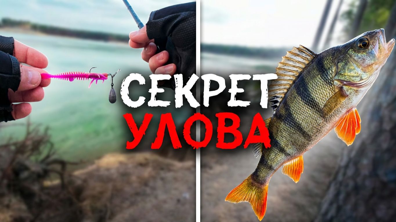Рыбалка на cf arion 762 ls 3-12  как ловить окуня на джиг-риг.