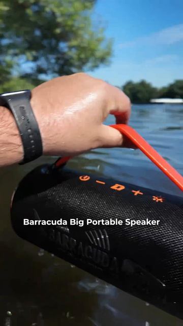 ПОРТАТИВНАЯ КОЛОНКА КОТОРАЯ УМЕЕТ В БАСЫ! Новинка от DL Audio - Barracuda Big Portable Speaker