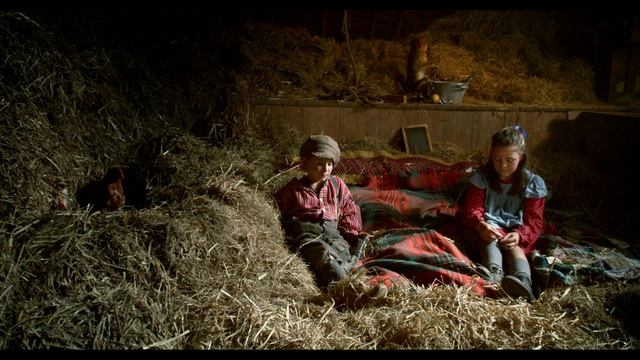 Невероятные приключения Вима (2015) / Apenstreken