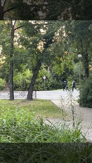 Когда питбайкеры довели 😂