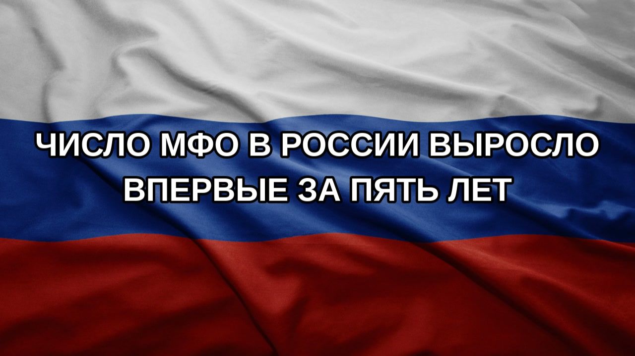 Число МФО в России выросло впервые за пять лет