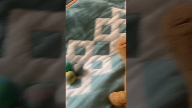 Первая часть Женя Гогвартсе