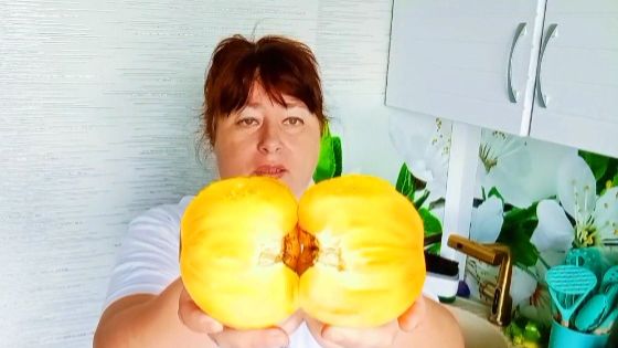 ВЫ ТАКОЕ ПРОБОВАЛИ? СУПЕР ТОМАТ
