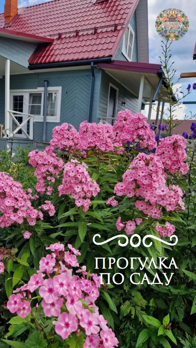 Прогулка по саду
