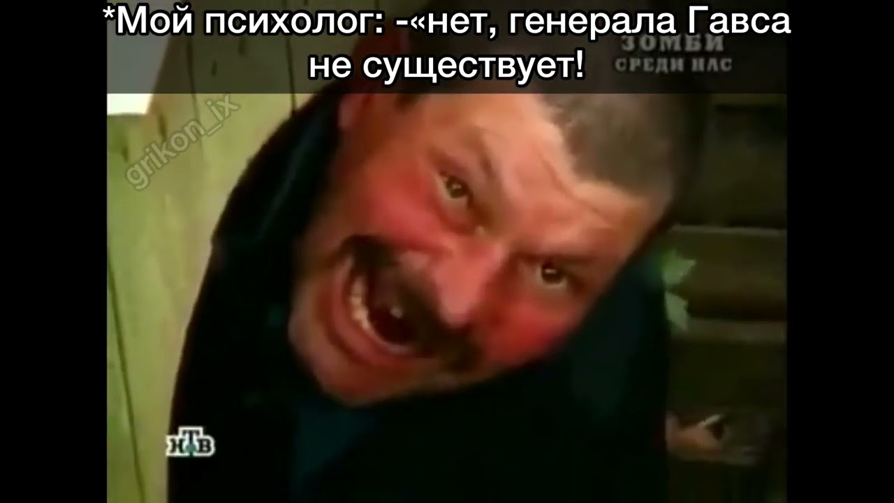 Memes По приказу генерала Гавса