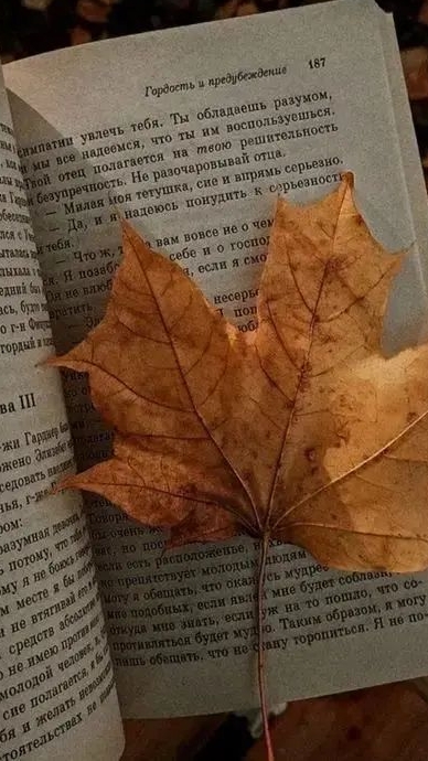 Первый спойлер к следующему обновлению🍂🫶🏽!
