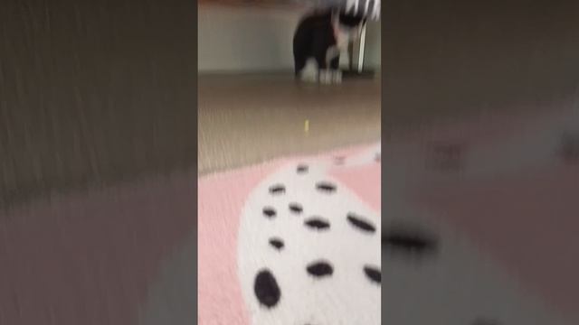 VID_20260813_170444