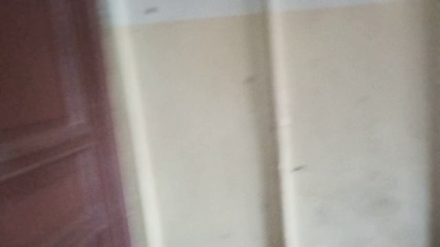 Парадные Санкт-Петербурга, дом на Васильевском острове