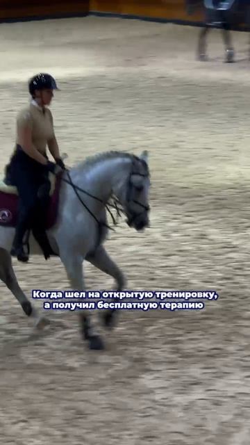 Когда приходишь просто посмотреть на лошадок, а уходишь счастливым человеком. 💫