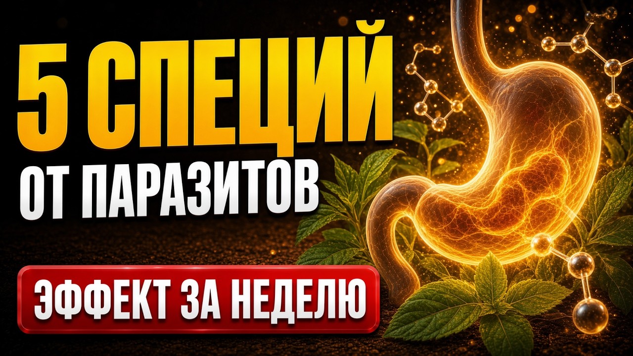 СЛАБОСТЬ И ДИСКОМФОРТ В ЖИВОТЕ? 5 СПЕЦИЙ РЕШАТ ПРОБЛЕМУ ЗА 1-2 НЕДЕЛИ
