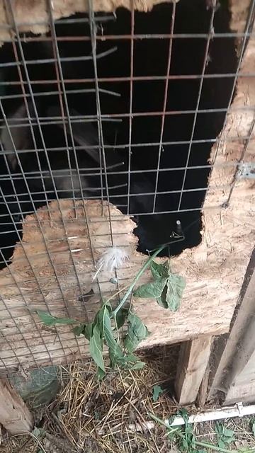 Новый прорыв