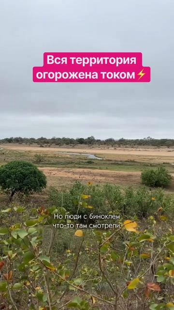 Парк Крюгер, ЮАР. Изгородь с током по всему периметру кемпинга Letaba. Про автотрип по Африке в проф
