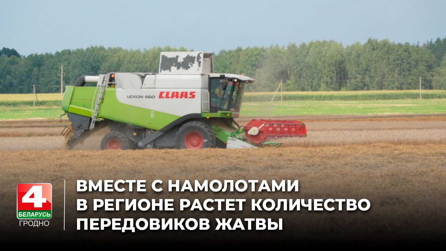Вместе с намолотами в регионе растет количество передовиков жатвы