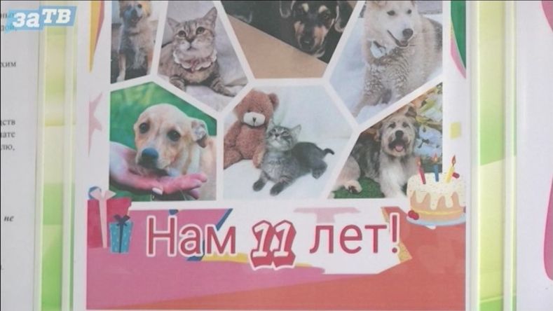 Новости Заречного от 13.08.26