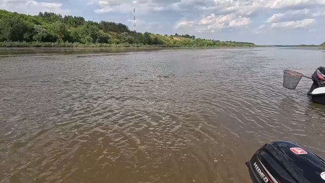 Каймановы острова..mp4