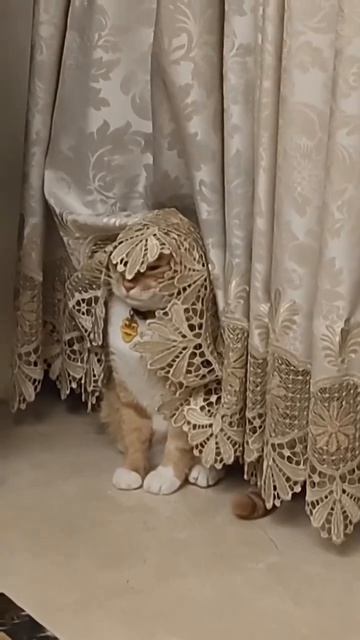 Во-первых, это красиво...