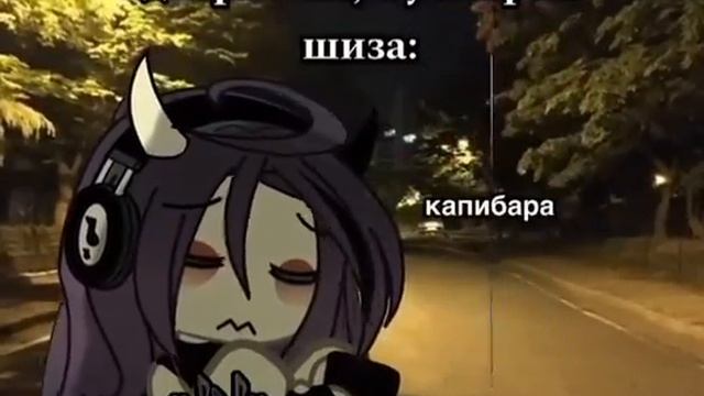 1000003660.mp4
