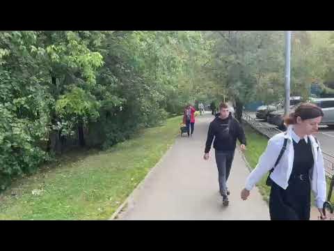 видео вход