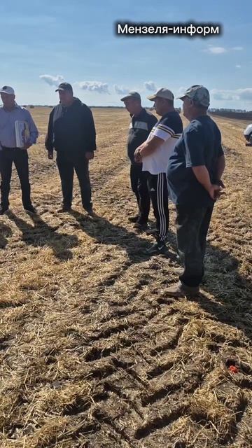 Видеомгновения с полей Мензелинского района