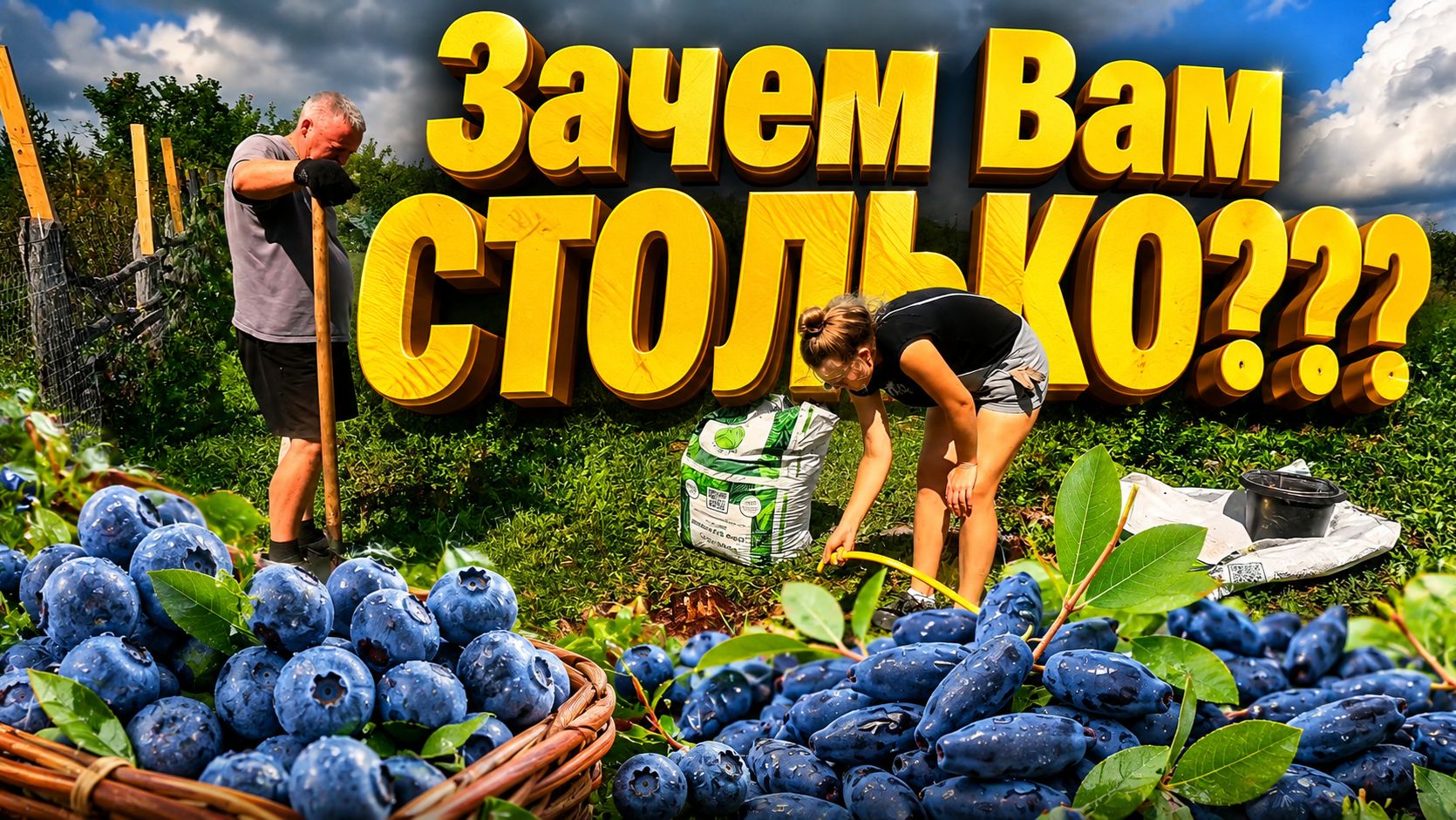 УРААА НОВЫЕ СЕЖЕНЦЫ | Жизнь простых людей | Купили дом в селе на хуторе