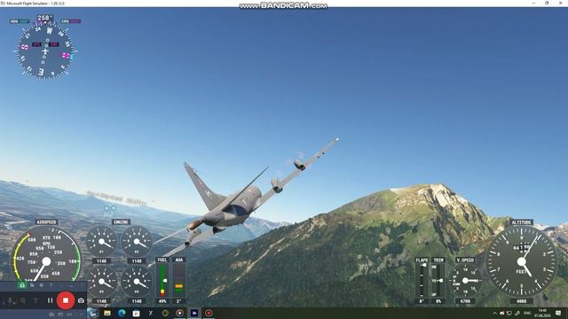 Microsoft Flight Simulator