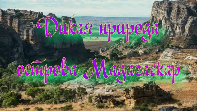 Дикая природа острова Мадагаскар
