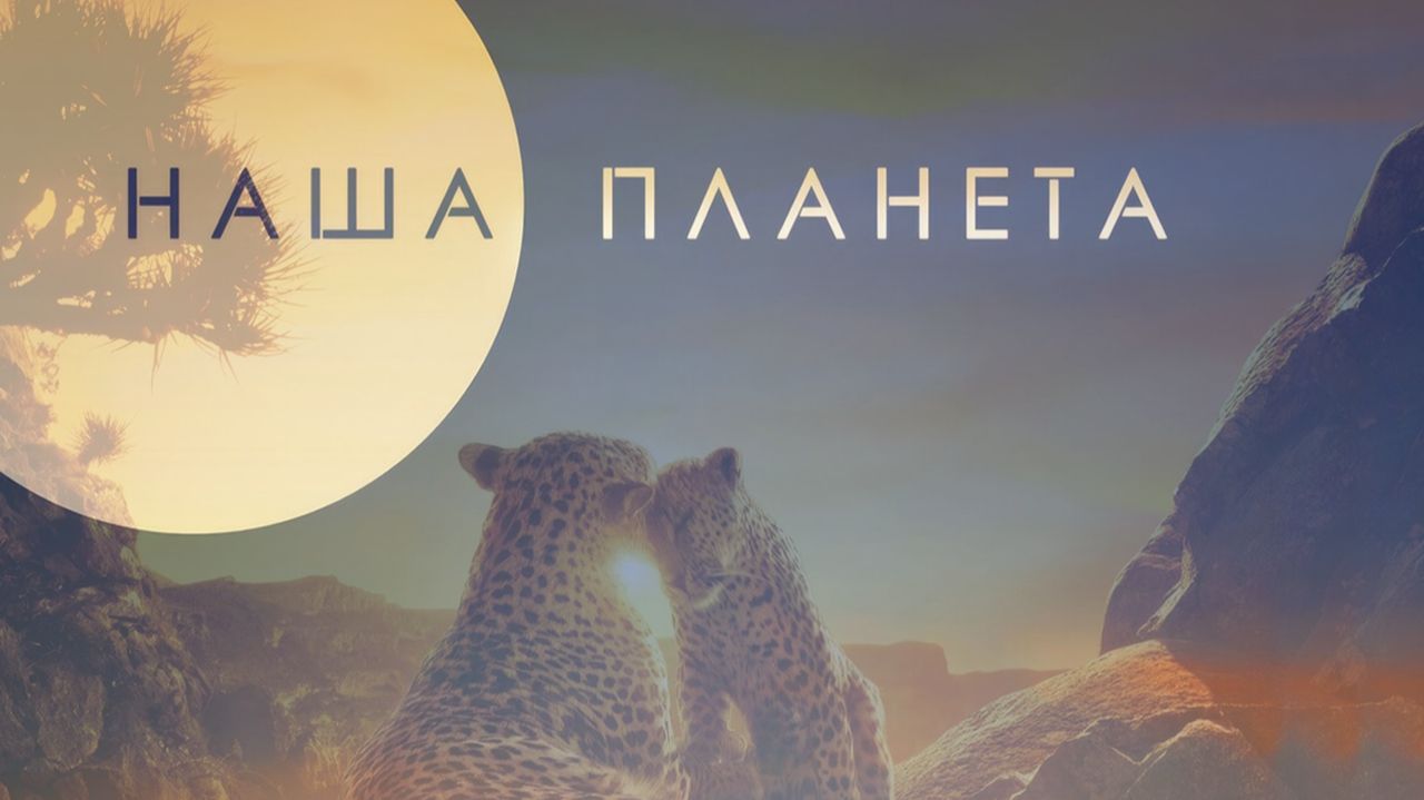 Наша планета - 1 сезон 1 серия  сериал 2019  2023  Our Planet