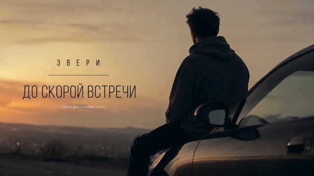 Звери - До скорой встречи. RIFTBEATS Cover. Remix
