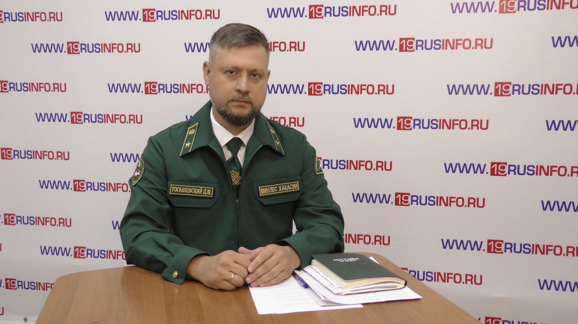 Денис Тогашевский о валежнике и древесине для собственных нужд