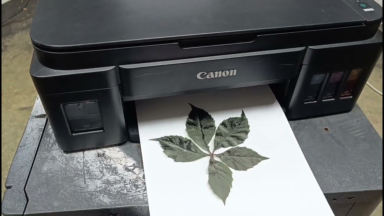 Canon G3415 делаем копию живого листа. Результат!