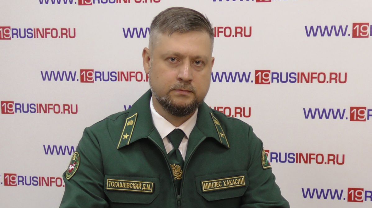 Денис Тогашевский о сборе ягод и кедровых шишек