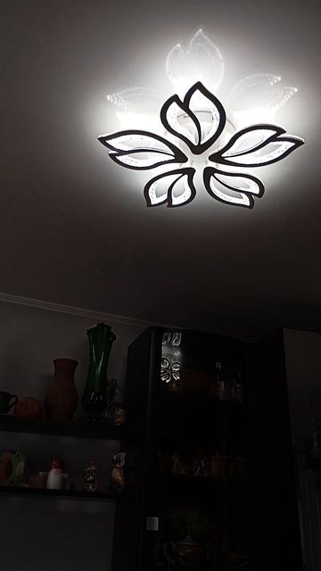 Поменял люстру.