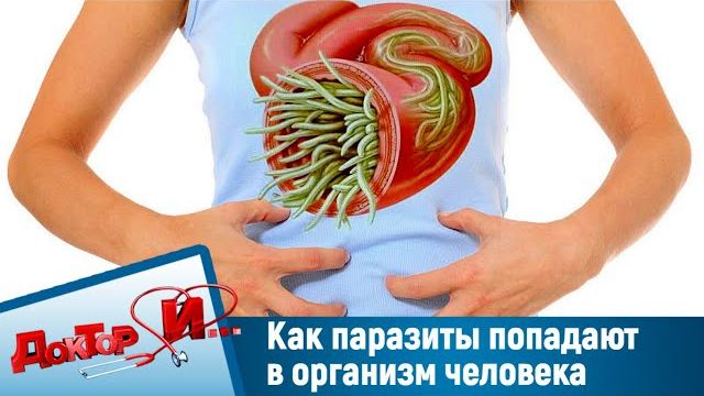 Паразиты  Как ВЫГНАТЬ их из организма И.И