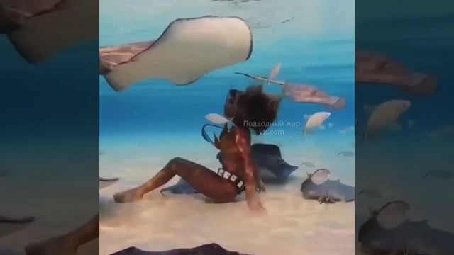 Каймановы острова. Невероятно красиво.mp4
