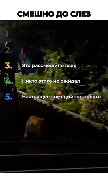 СМЕШНО ДО СЛЕЗ