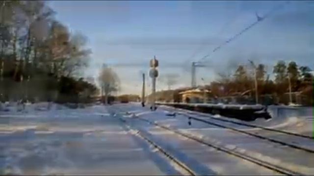 Михаил Гулько Березы