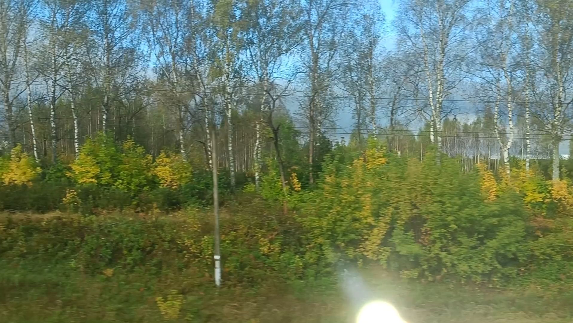 КУСОЧЕК КРАСИВОЙ ОСЕНИ