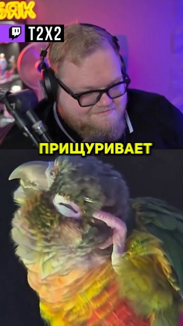 ПОБЕГ ВЕКА 🤣 - #t2x2 #т2х2 #twitch #реакция #юмор #мем #shorts