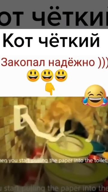 Закопал надёжно 