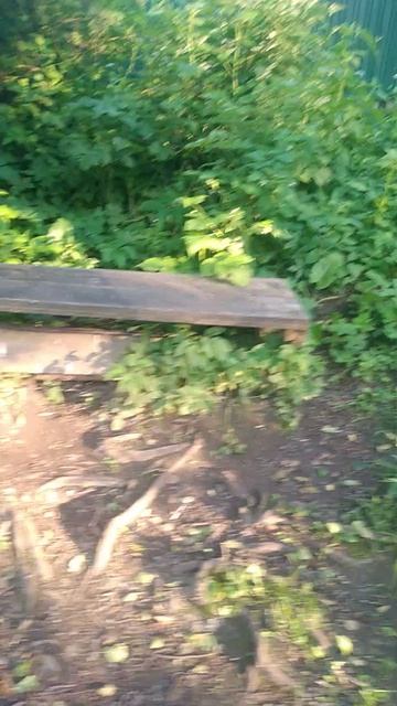 В ЖАРУ 🌳🌾🌞 К  РОДНИКУ!!!