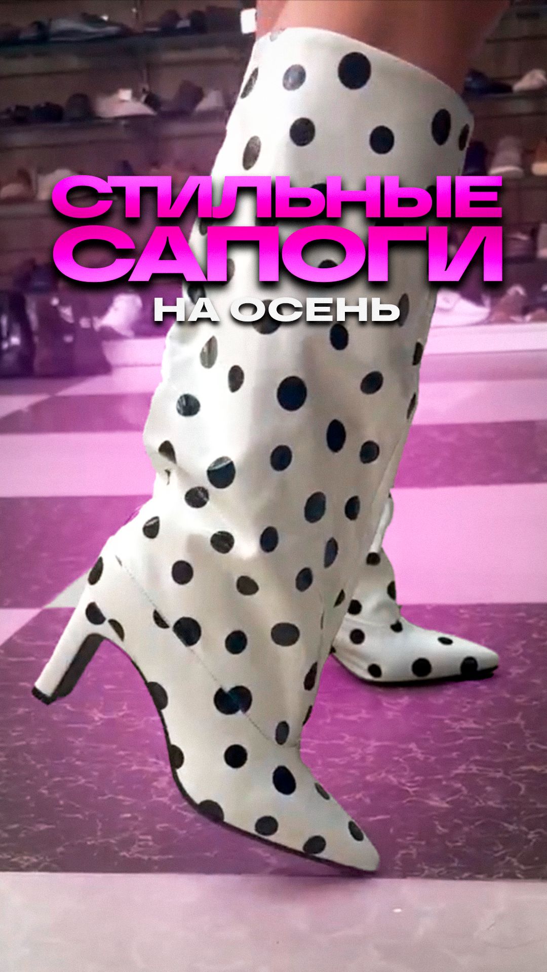 🔥СТИЛЬНЫЕ САПОГИ НА ОСЕНЬ🔥 #обзоробуви #тксадовод #женскаяобувь